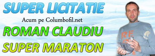 https://www.columbofil.net/index.php?act=licitatii&id=2209